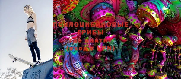 шишки Алексин