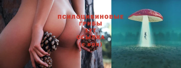 таблы Алзамай