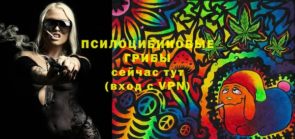 таблы Алзамай
