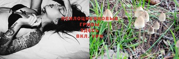 дурь Алексеевка