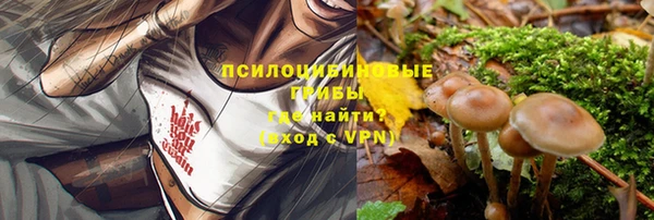 дурь Алексеевка